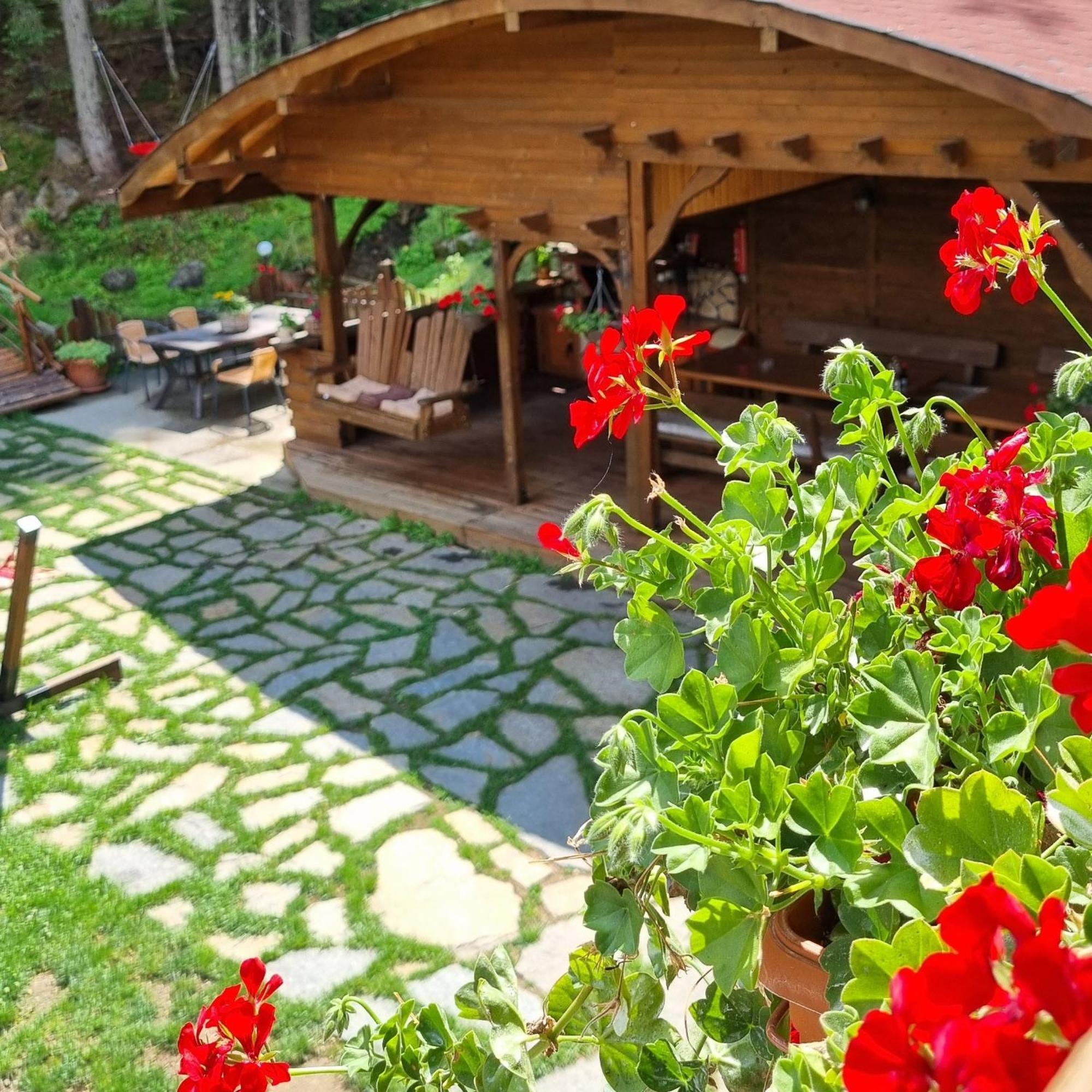 Villa Hills - Къща За Гости С Храна Orlino Dış mekan fotoğraf